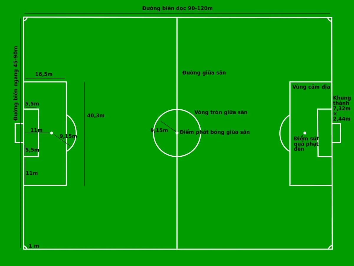 Tìm hiểu về kích thước của sân bóng đá 11 người